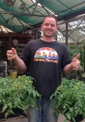 Trevor with tomatoes bred for hanging baskets Trevor with tomatoes bred for hanging baskets