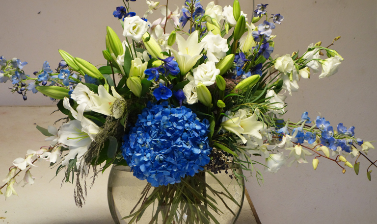 Blue Hydrangea for Hanukkah