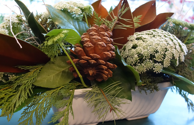 Pine Cones in Snow