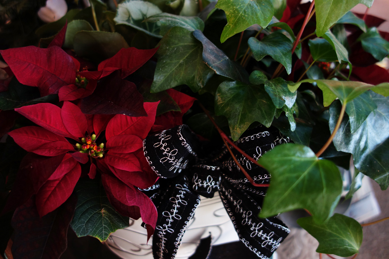 Ivy and Poinsettia Euro Basket