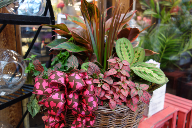 Euro Basket for Valentine's Day