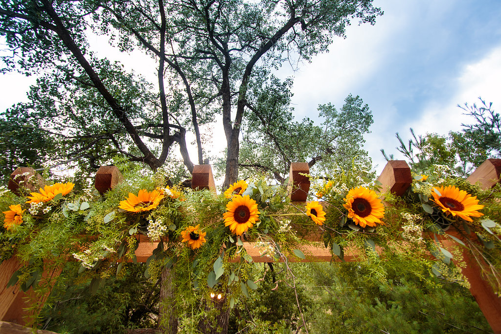 Sunflower Wedding Arch