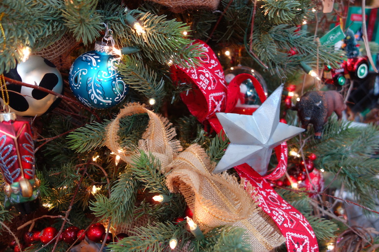 Christmas Trees in Boulder Colorado Sturtz and Copeland Boulder, CO