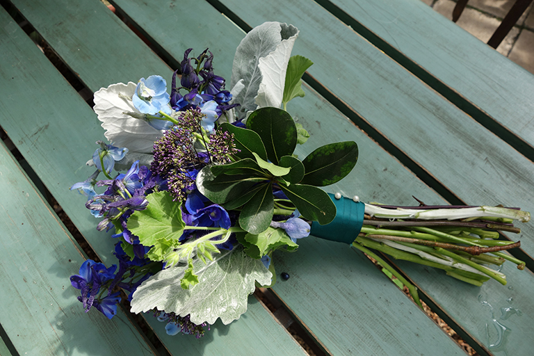 Blue Delphinium