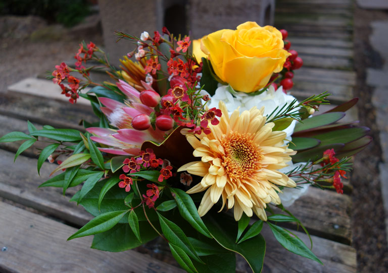 Hydrangea, protea, and roses in a cube